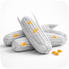 PLA (полилактид)