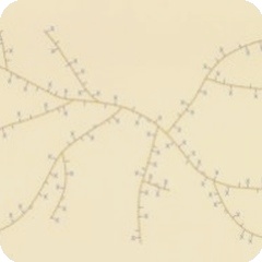 Презентация пленочного EVA производства Hanwha Total