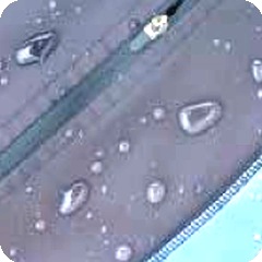 Каталог TPU производства Miracll