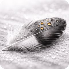 TPA пленочный