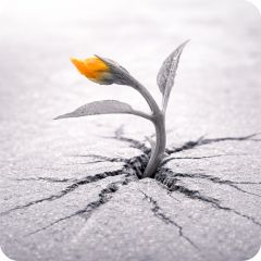 TPA для 3D печати