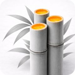 ABS (акрилонитрилбутадиенстирол)