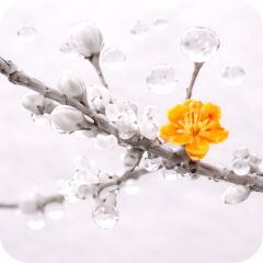 EA (сополимеры этилена и акрилатов)